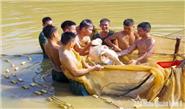 Thực túc, binh cường ở Lữ đoàn 409