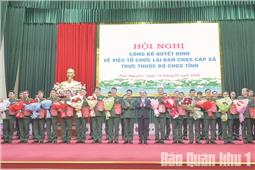 Phát huy vai trò trong thực hiện chính quyền địa phương hai cấp