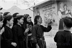 Những nguyên tắc trong bầu cử đại biểu Quốc hội và đại biểu Hội đồng nhân dân