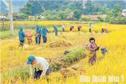 Lấp lánh “sao vuông” nơi biên cương Tổ quốc