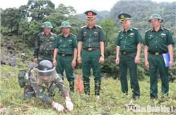 Quân khu kiểm tra tiến độ rà phá bom mìn, xây dựng công trình chiến đấu tại Cao Bằng