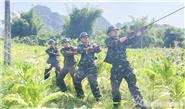 Vượt núi rừng mở đường dây thông tin