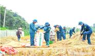Nơi những chuyến đi hóa thành con chữ