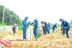 Nơi những chuyến đi hóa thành con chữ