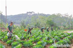 Góp sức cho nhiệm vụ thắng lợi