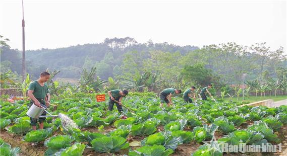 Góp sức cho nhiệm vụ thắng lợi