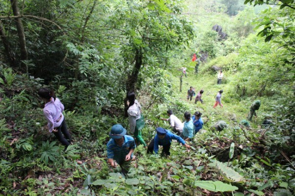 Cán bộ, chiến sĩ Đồn Biên phòng Quang Long cùng với nhân dân xóm Khỵ Rót, xã Quang Long (Hạ Lang, Cao Bằng) phát quang khu vực cột mốc.